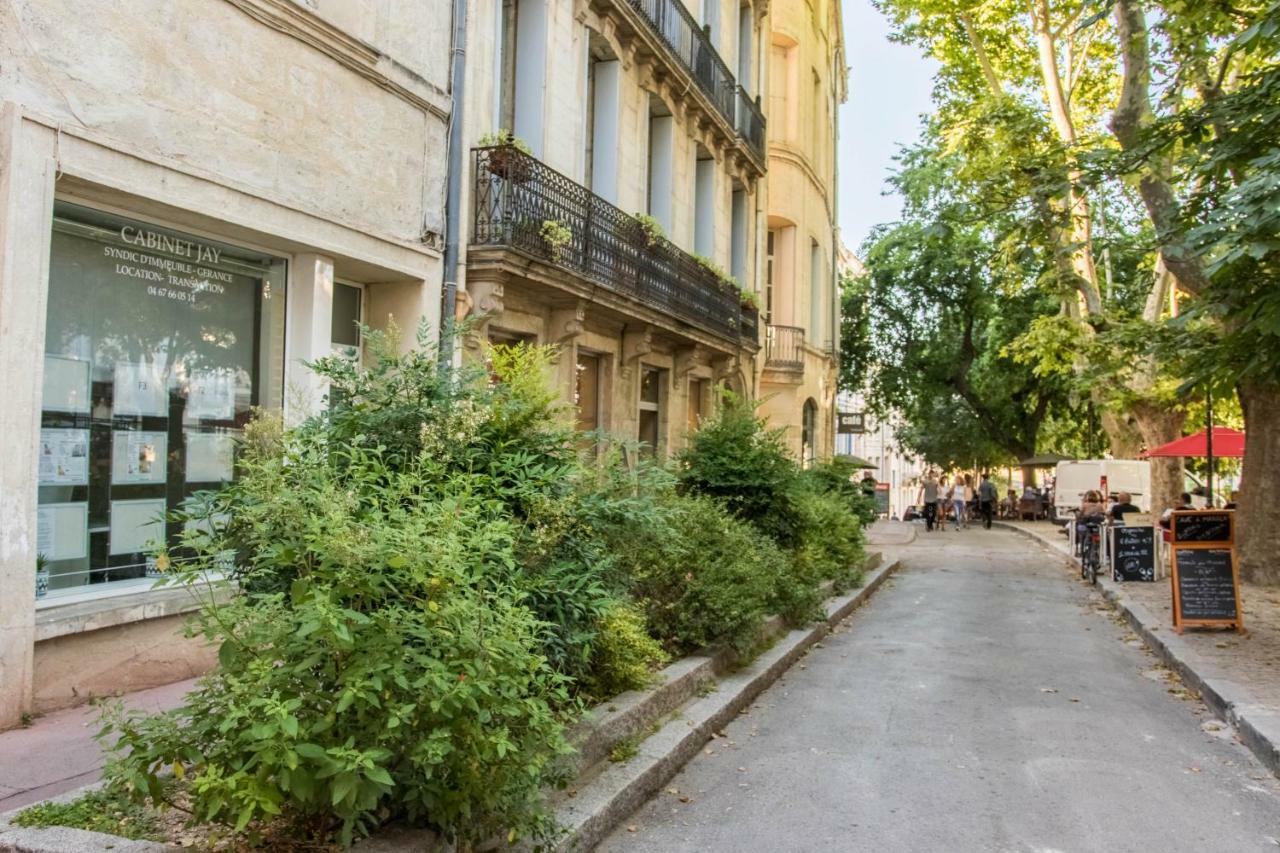 Appartement Canourgue - Premiere Conciergerie モンペリエ エクステリア 写真